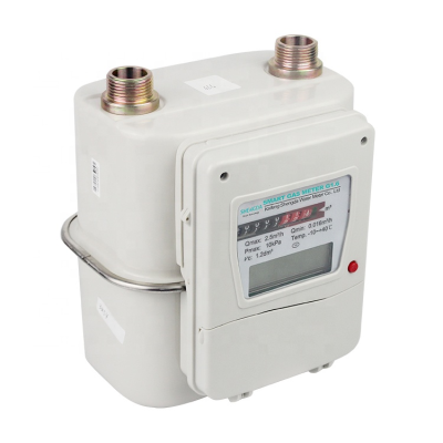 Rotary Gas Meter Diaphragm Gas Meter G6 Smart Gas Meters