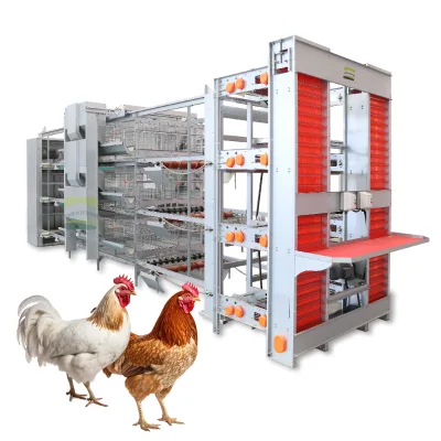 Galvanized H Type Layer Cage 4 Tier Automated Egg Collection Manure Belt Galvanized Steel Poultry Farm