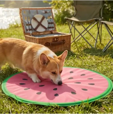 Cartoon Pattern 40x40cm PVC Fiber Gel Cooling Mat Chill Watermelon Mat Pet Cooling Pad