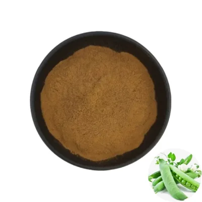 Wholesale Price FocusHerb Pisum Sativum Sprout Powder Pisum Sativum Pea Extract