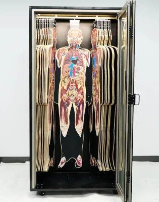 IN-Int DP Tomography 3d Printing Model for Medical Student Training Anatomy Learning