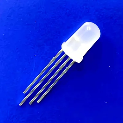 Diffused Head Short 4 Pins WS2812B Driver 12V RGB Color 60deg Full Color With IC Addressable 5mm RGB LED Emitting Diode