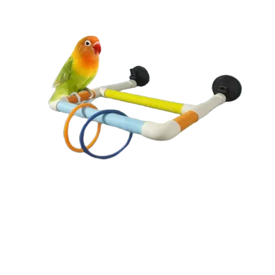 Multifunctional PVC Bird Stand for Glass/Tile/Marble Surfaces No-Drill Bird Perch with Suction Cup Bird Supplies
