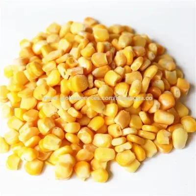 IQF Frozen Super Sweet corn kernel A GRADE