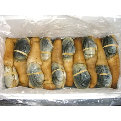 Shellfish