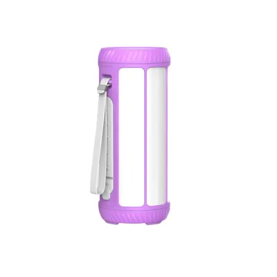 Best Stereo Sound Waterproof Colorful Full Light with Handle Wireless Bluetooth Speaker Support Wireless Microphone