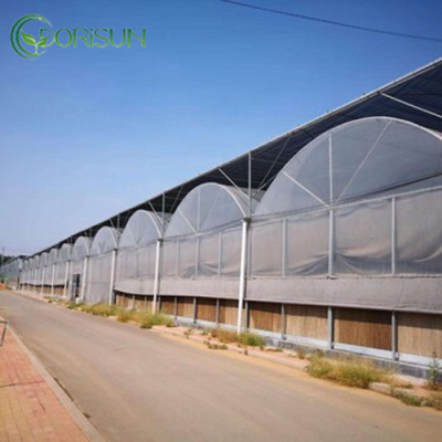 Smart Green House Agricultural Modern Multi-span Plastic Film Greenhouses Hoop House with Hydroponics System