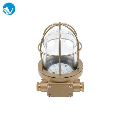 IP56 Marine Brass LED Pendant Light With Metal Guard CCD9-5L