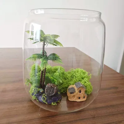High Borosilicate Glass Terrarium Flower Pot Round Shape Vase for Hydroponic Succulent Plants for Home and Garden Use