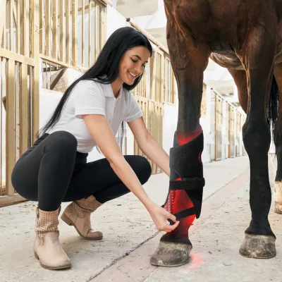 Flexible Red Infrared Light Pulse 10 Hz Booth Horse Therapy Leg 660nm 850nm - Single Unit