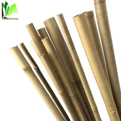 Bamboo Cane Garden Rods Wholesale