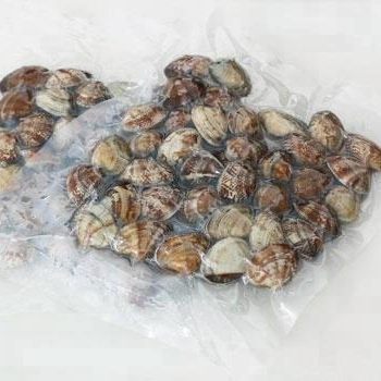 Frozen Cook Clams Packaging Clam Shells
