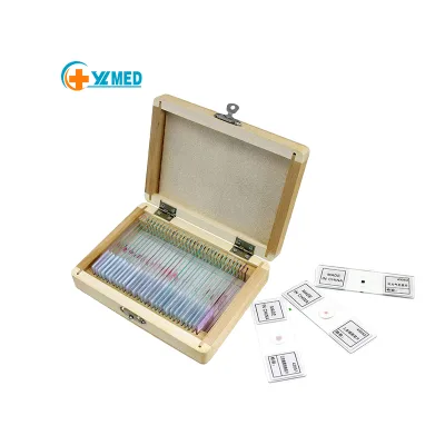 Microscope Meiosis Slides Cell Biology Genetics Botany Prepared Slides on Sale Prepared Slides