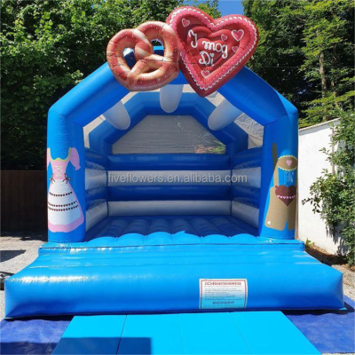 Castillo Inflable Jumping House Inflatable Castle for Party