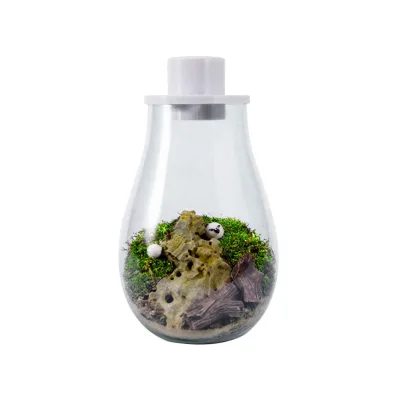 Desktop Small Fish Tank, Betta Fish Bottle, Micro-Landscape Tank, Ecological Bottle