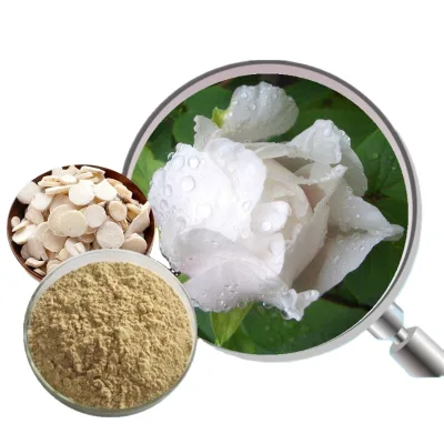GMP Standard Bulk Wholesale Radix Paeoniae Alba Extract /white Peony Root Extract Paeoniflorin 5%