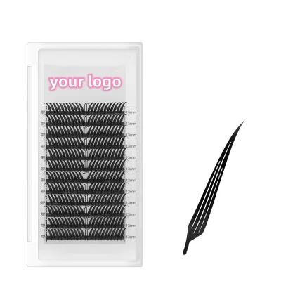 Class Manga Lashes Extension Comic Volume Premade Fans Lashes Curl Wispy Matte Black Lash Extensions