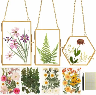 Pressed Flower Craft Kit for Adults & Women, DIY Floating Double Glass Frame Kit with Real Dried Flowers