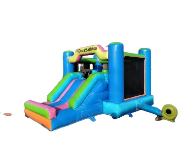 Doctor Dolphin Home Use Puppy Dog Cute Play Jumping Castle Inflatable Bouncer Slide Easy Setup 3 Person Capacity Outdoor