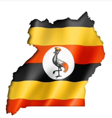 Cost-Effective Uganda Air Express Cargo for Bulk Goods 20kg+