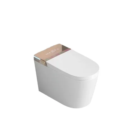 Automatic Ceramic Smart Bidet Toilet Elongated Bowl Shape Self-Cleaning Feature Intelligent Sanitary Ware Remote Control for