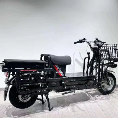 Hot Sales Cargo Loading 300kg Multipurpose Transportation of Goods People Electric Motorcycle Vehicles