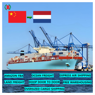 Professional Sea Freight Forwarder and Fast Shipping Agent Service to Netherlands Belgium Eu Austria Italy Poland Uk
