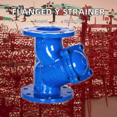 Spheroidal Graphite Cast Iron Stainless Steel Flange and Threaded End Y-type Filter