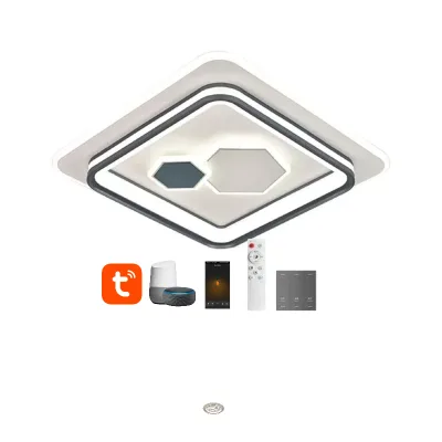 New Smart Voice Ceiling Light Tuya Zigbee Wifi Dimming and CCT Change