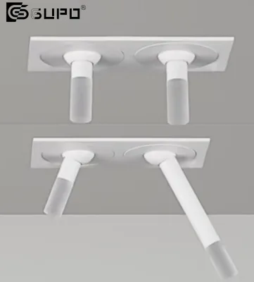 Recessed Double Heads 24V/220V 4W Rotating Tiltable Adjust Mini Acrylic Cabinet 2w Decorative Frosty Height Flexible LED Lights