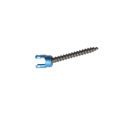 Hot Selling SecuFix 6.0 Titanium Polyaxial Pedicle Screw System for Lumbar Spinal Fusion Surgery