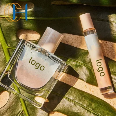 C&H ODM OEM Service Custom Logo Luxury Perfume Manufacturer Supply Air Freshener Oil Spray