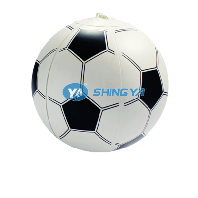 Transparent Beach Ball