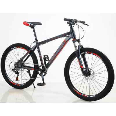 Outdoor Bike New Double Disc Brake Bike on the Road Cycle Mtb Bikes Exercise Bicycle Chopper Bicycle for Men and Women