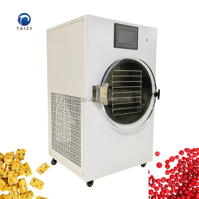 Popular Small Food Freeze Drying Machine Freeze Dryer With Vacuum Pump for Drying Mango Passion Fruit