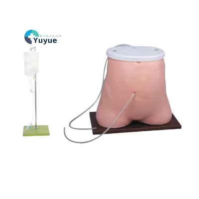 Standard Stoma Position PVC Simulation Model for Fluid Outflow Teaching Aid Peritoneal Dialysis Operation Training Medical