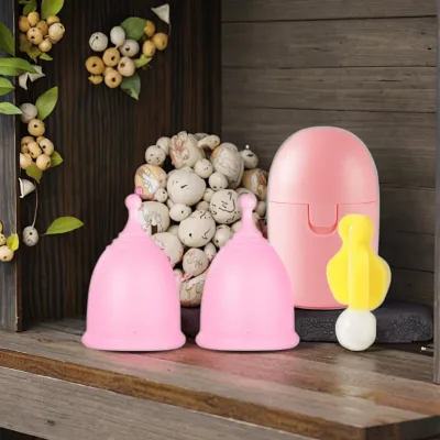 Aunt Artifact High-Temperature PP Plastic Storage Box Eco-Friendly Menstrual Cup Wholesale Replacement Medical Grade Silicone