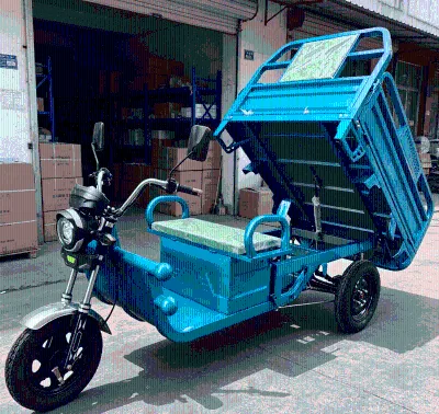 CE Certified Powerful Three Wheel Bike 800W Motor Long Range Cargo Trike Electric Tricycle with Large Space Factory Direct Sale