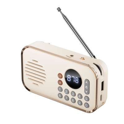Portable FM Radio Rechargeable Small Wireless Bluetooth Speaker Wireless Speaker USB Computer Walking