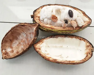 Cocoa Pod Breaking Machines