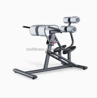 Adjustable Glute Ham Developer Machine Hyper Extension Bench for Gym