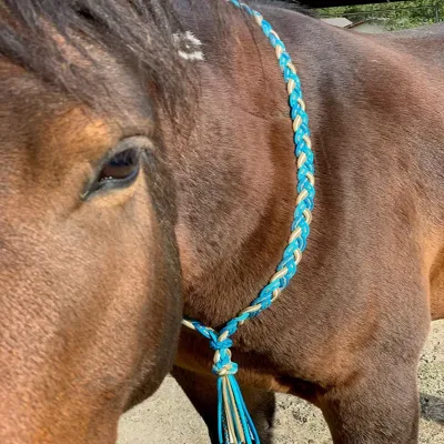 New product Horse Head Collar Reflective Western Leather Quick Hitch Set for Dressage Racing Driving High Visibility Comfort Handmade India