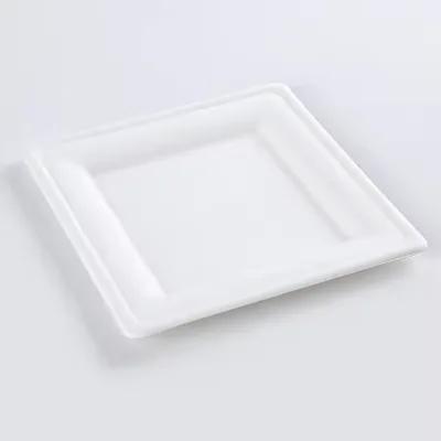 Biodegradable Eco-Friendly Disposable Paper Plates 10 Inch Square Sugarcane Heavy-Duty Leakproof Reusable Salad Party Dinner