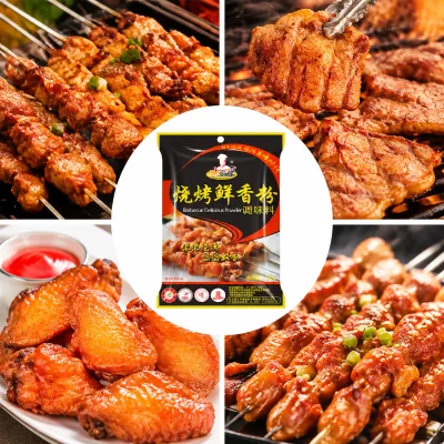Premium BBQ Seasoning Powder for Grilled Meat Chicken Flavor Enhancer Spice Mix OEM Bulk Supplier