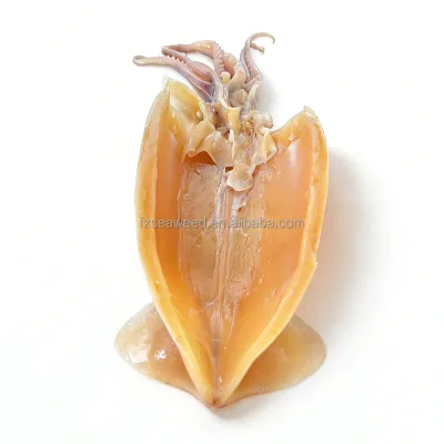 Traditional Dried Squid 10kg/CTN, 30% Moisture, Authentic Seafood Taste, Rehydrates Well for Culinary Creations