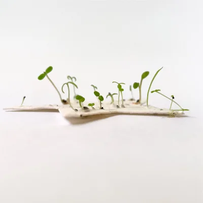 Sow Many Modern Handmade Sustainable Recycled Eco-Friendly Plantable Paper Note Cards with Stars Design