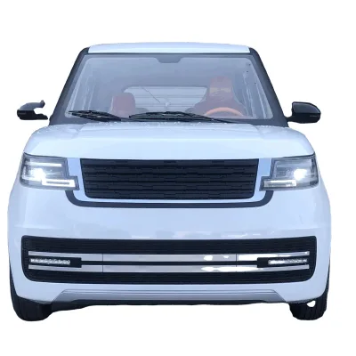Adult Electric Vehicle Single Drive Motor 4-wheel Elderly Electric Vehicle