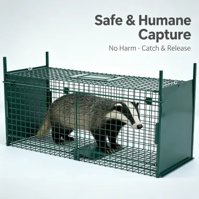 Raccoon Trap Cage 110*28*34 cm Heavy Duty Double Door Live Catch Eco-Friendly Humane Dog Trap for Farm Wholesale