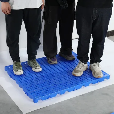 Wholesale Industrial High Load Capacity HDPE Tray Best Quality Euro Pallets ESD-Safe Anti-Static Conductive Coating High