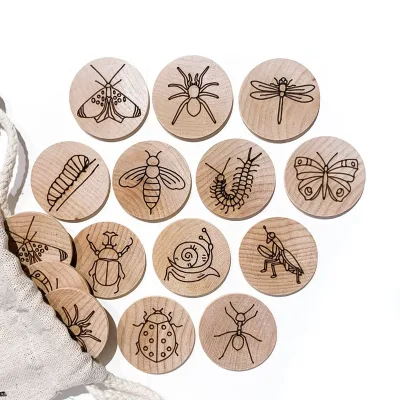 Homeschool Montessori Wooden Memory Match Game Baby Other Educational Toys